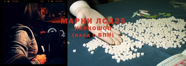 прущие грибы Козловка