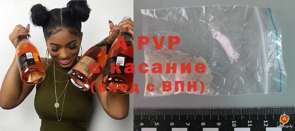 прущие грибы Козловка