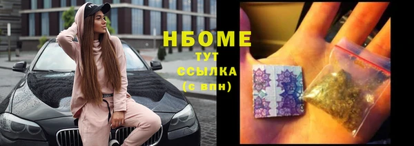 прущие грибы Козловка