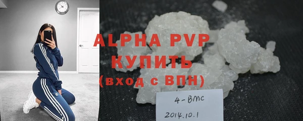 прущие грибы Козловка