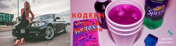 прущие грибы Козловка