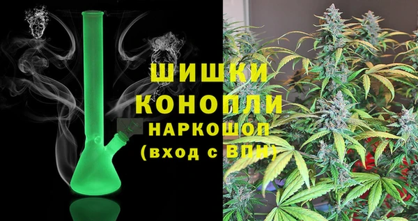 прущие грибы Козловка