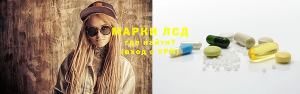 прущие грибы Козловка