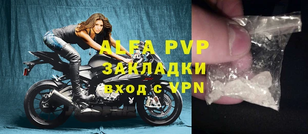 прущие грибы Козловка