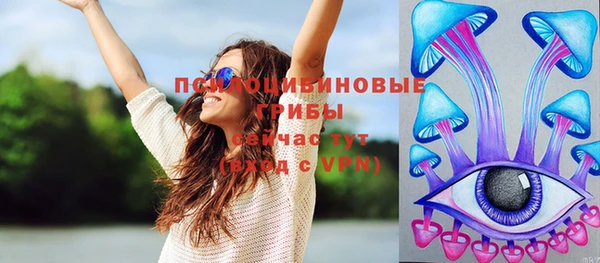 прущий лед Козельск