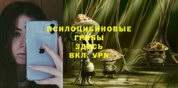 не бодяженный Кодинск