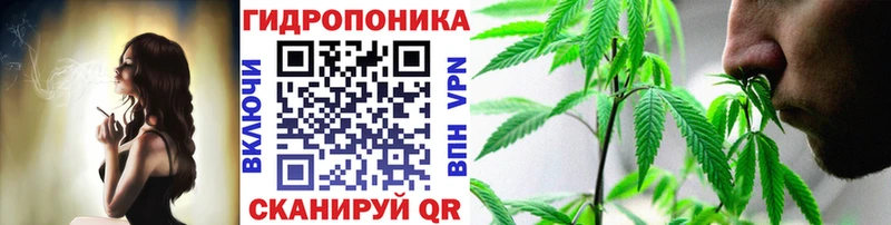 Бошки Шишки тримм  Купить закладки  Лахденпохья 